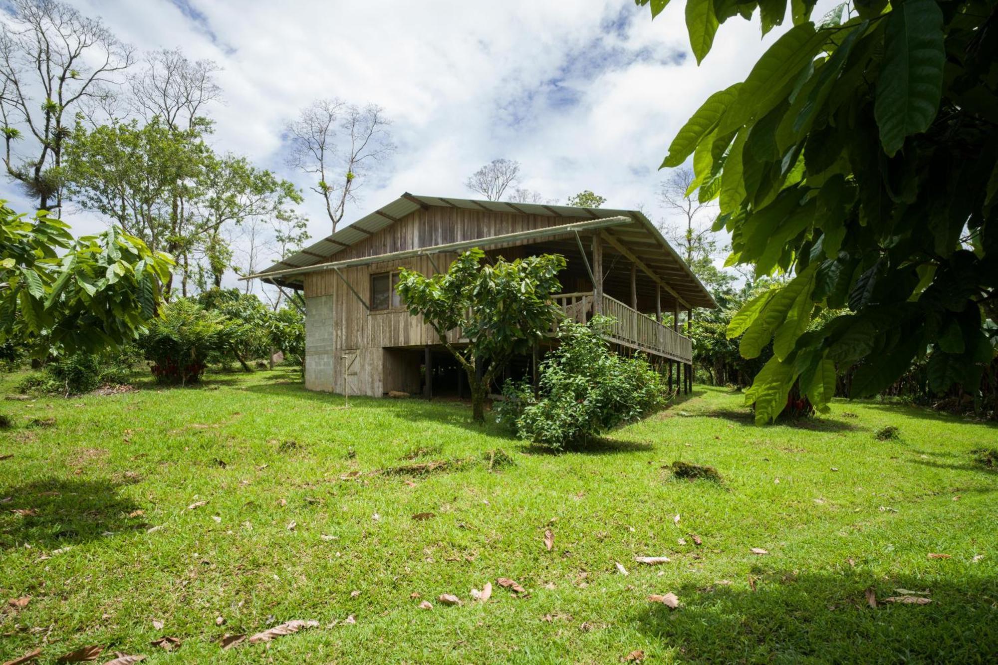 Finca Amistad Cacao Lodge Bijagua Esterno foto