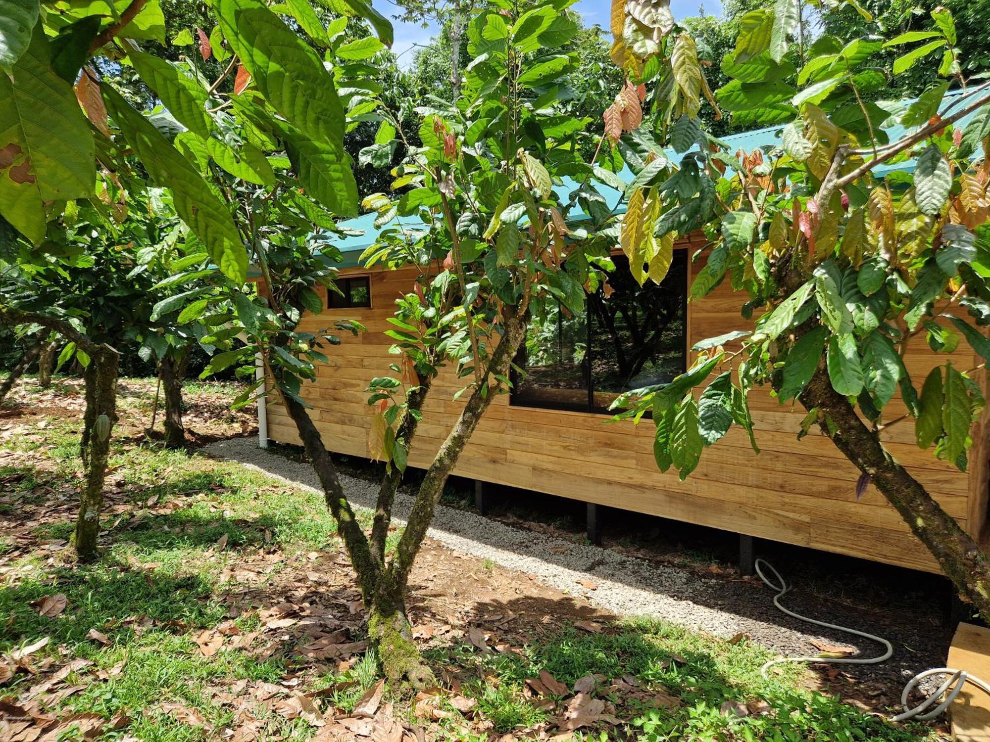 Finca Amistad Cacao Lodge Bijagua Esterno foto