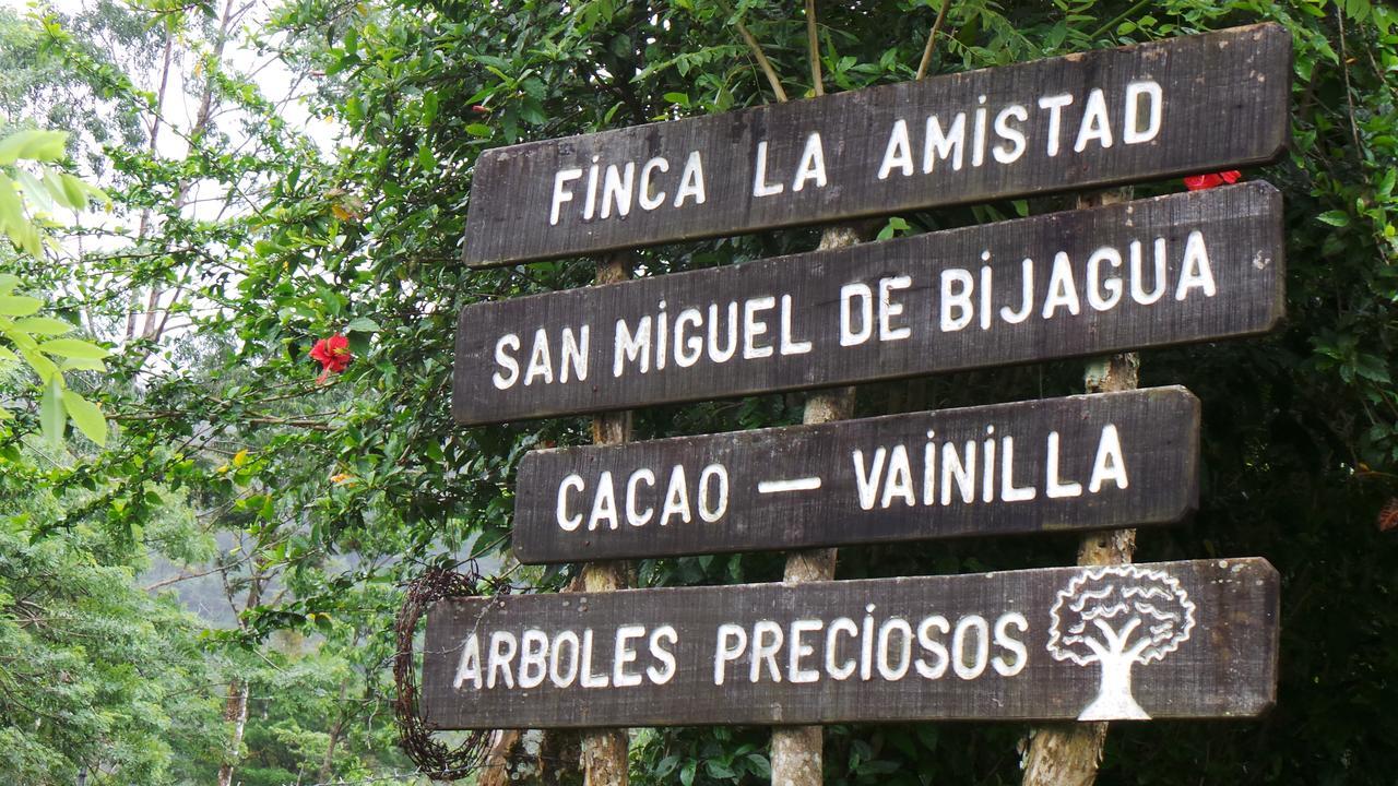 Finca Amistad Cacao Lodge Bijagua Esterno foto