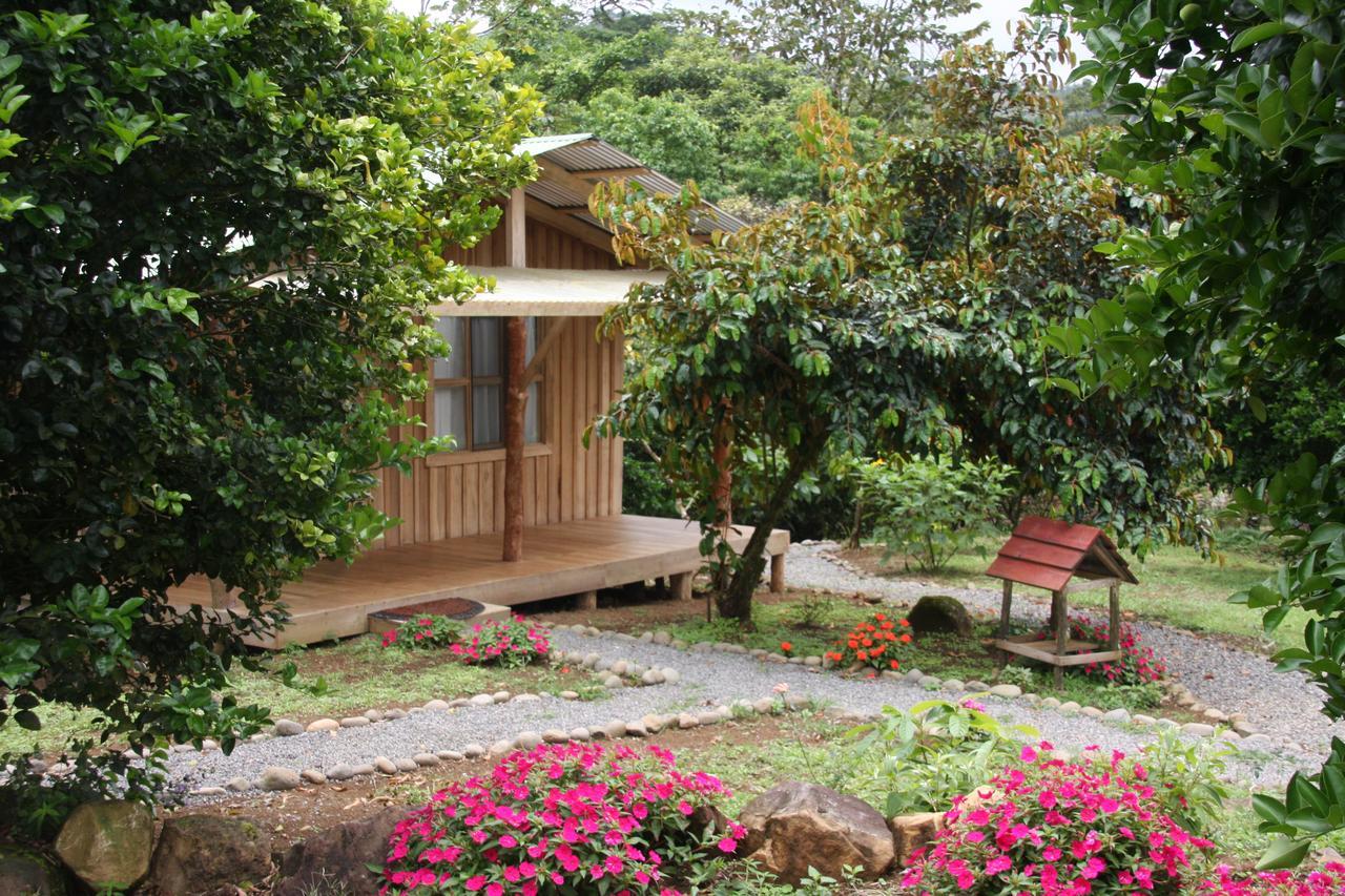 Finca Amistad Cacao Lodge Bijagua Esterno foto