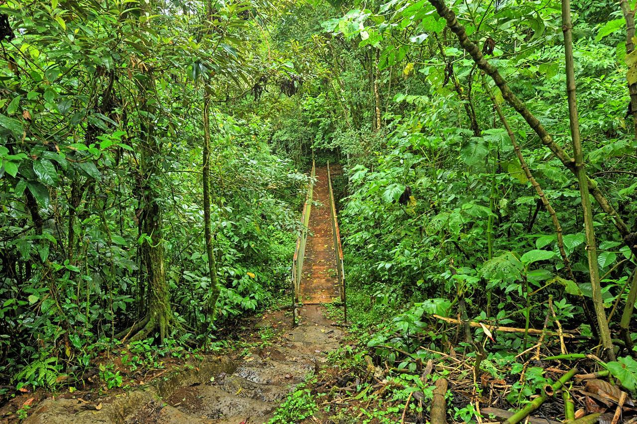 Finca Amistad Cacao Lodge Bijagua Esterno foto