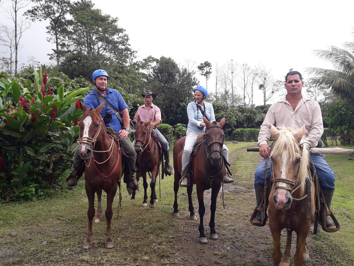 Finca Amistad Cacao Lodge Bijagua Esterno foto