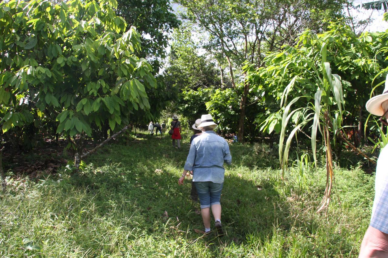 Finca Amistad Cacao Lodge Bijagua Esterno foto