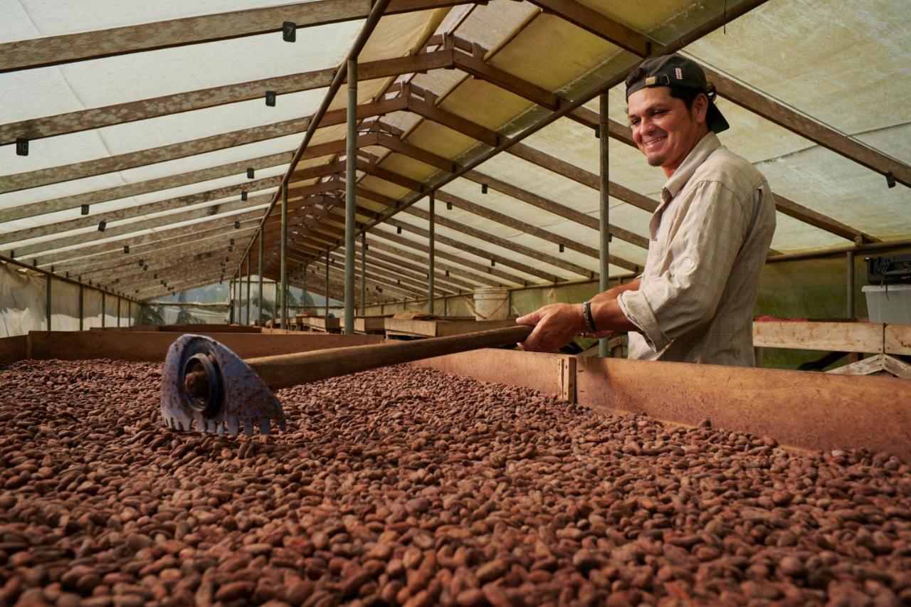 Finca Amistad Cacao Lodge Bijagua Esterno foto